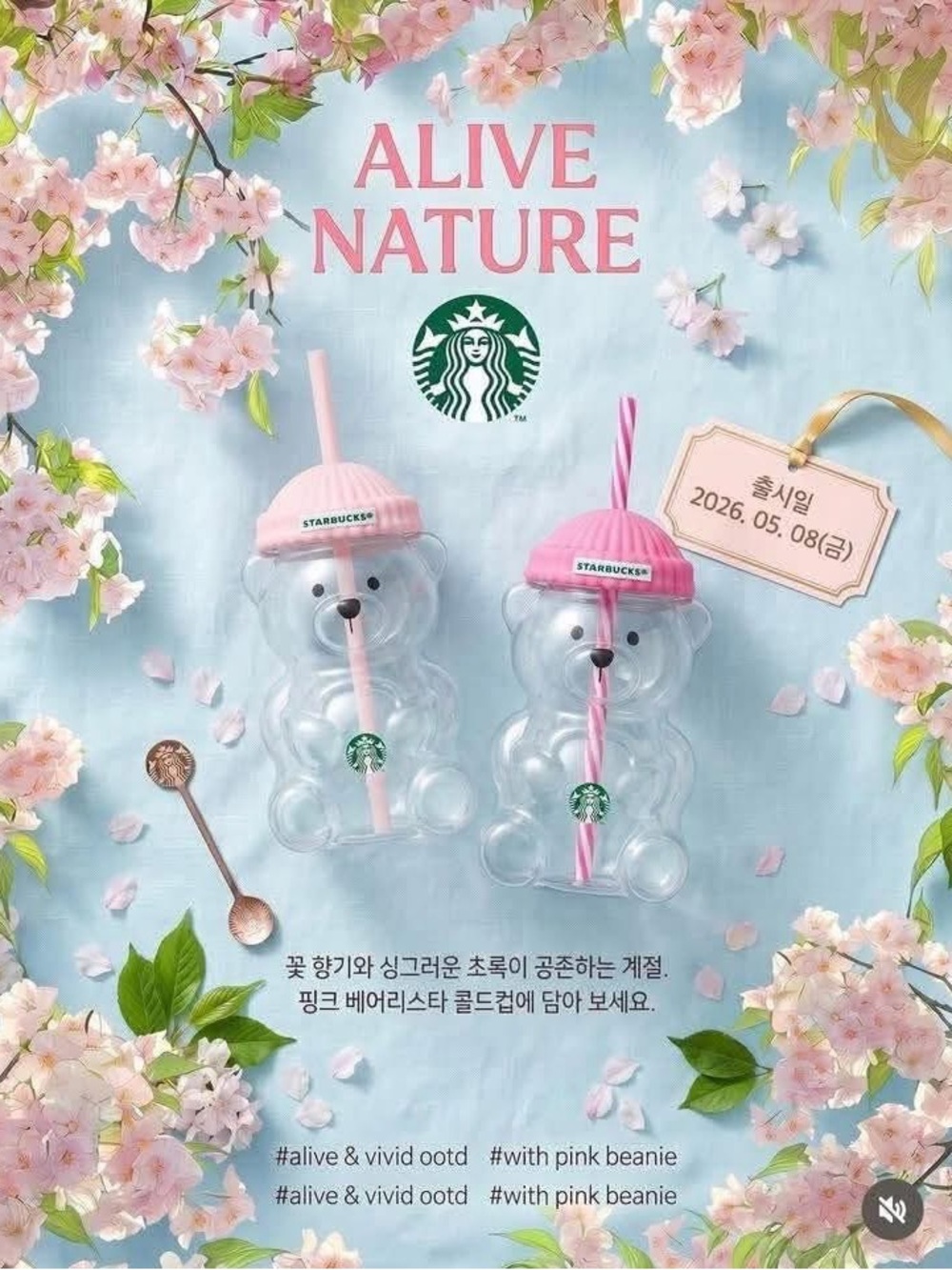 Starbucks Pink Bearista Cup - Korea Exclusive - Picture 3 of 13